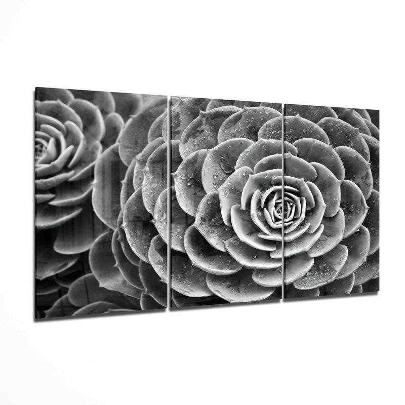 Succulent Glass Wall Art