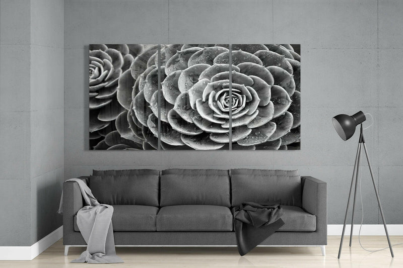 Succulent Glass Wall Art