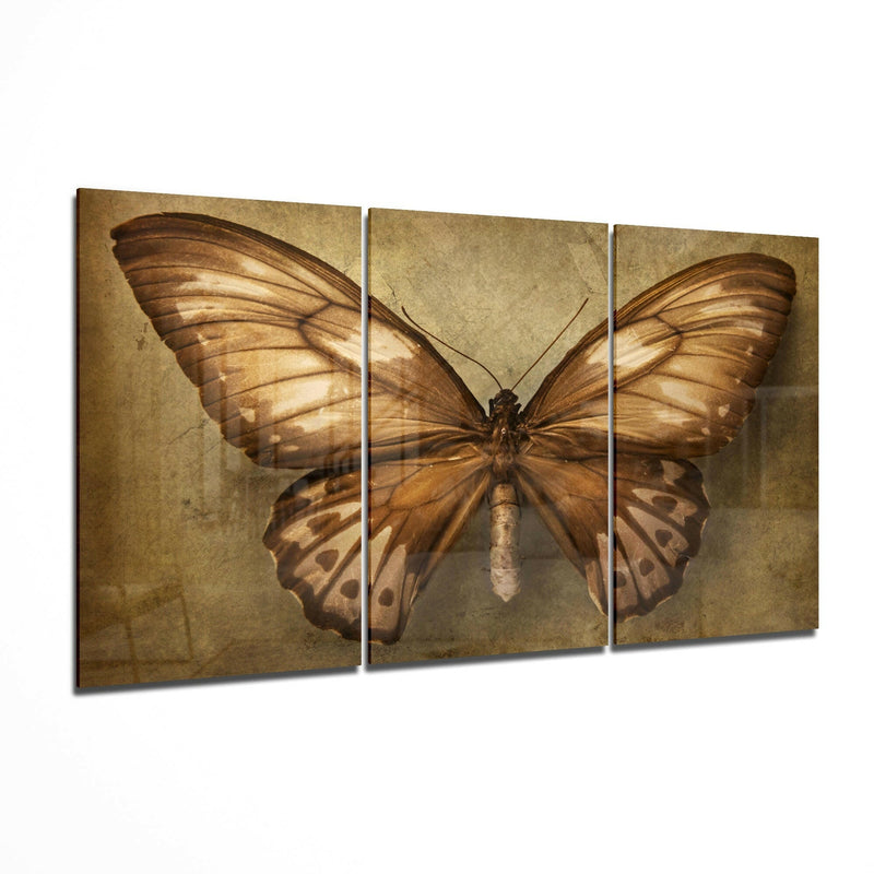 Butterfly Glass Art