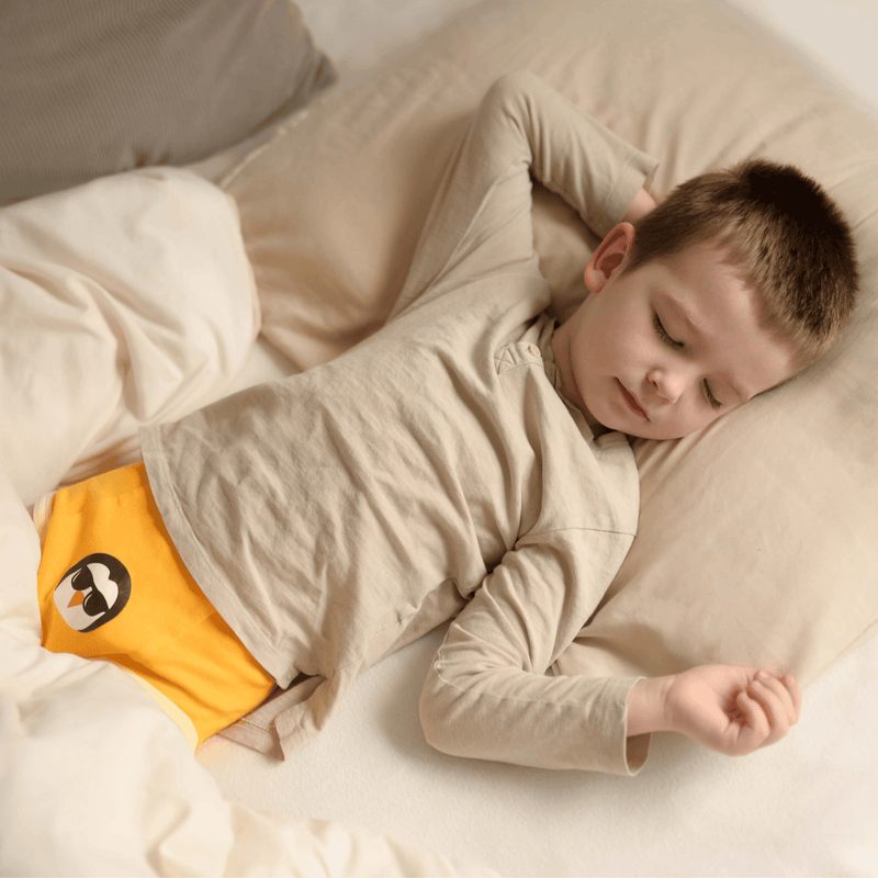 Organic Potty Training Underwear