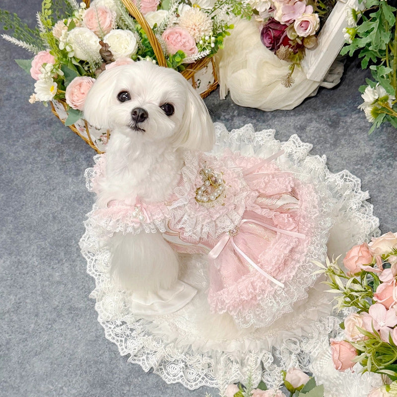 Handmade Romantic Puppy Gown Pink Lace