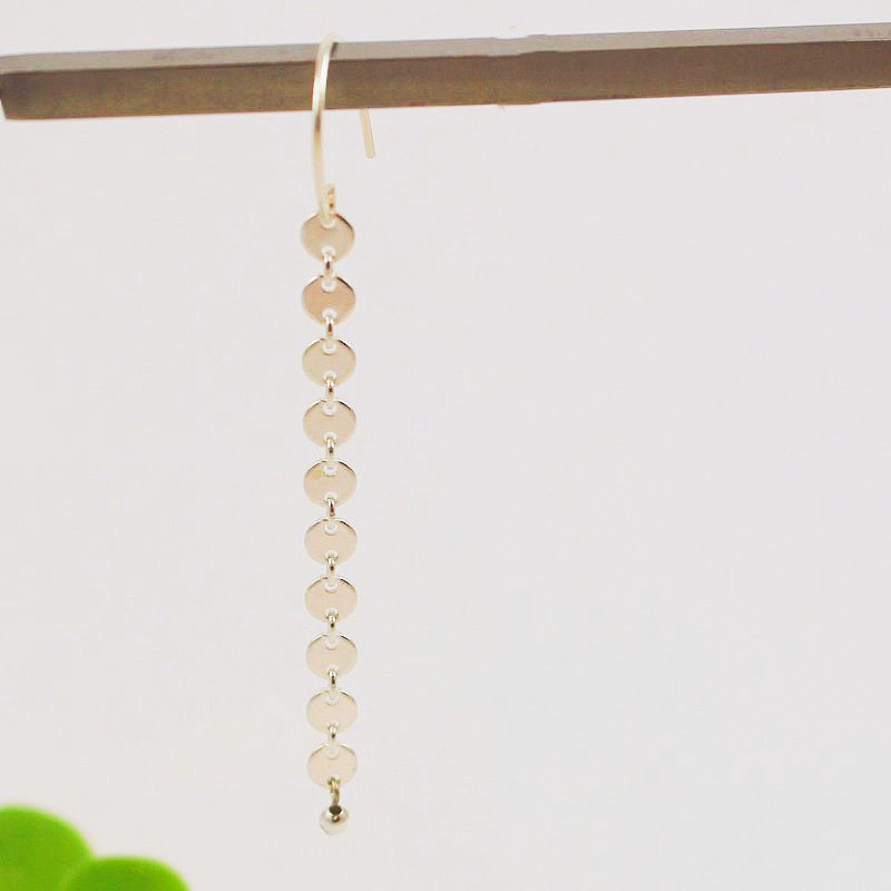 Coins Tassel Drop Earrings