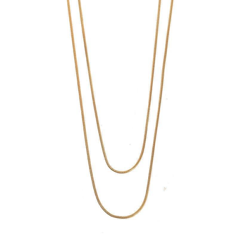 Snake Chain Layer Long Necklace