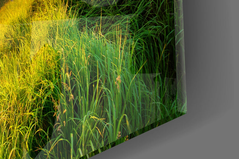 Valley Glass Wall Art