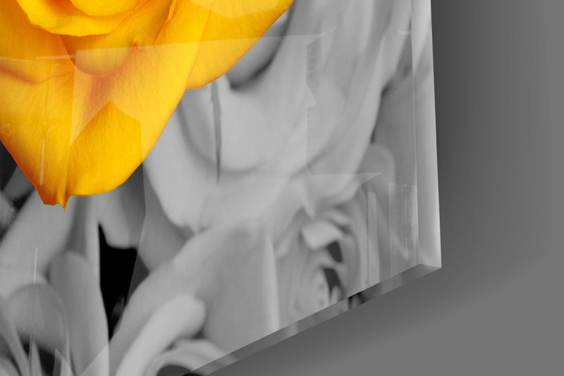 Yellow Rose Glass Wall Art