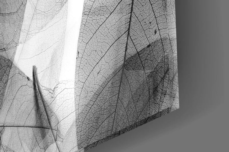 Black - White Leaves Glass Wall Art