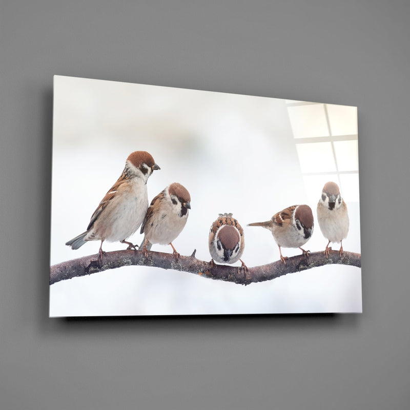 Birds Glass Wall Art