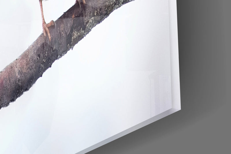 Birds Glass Wall Art