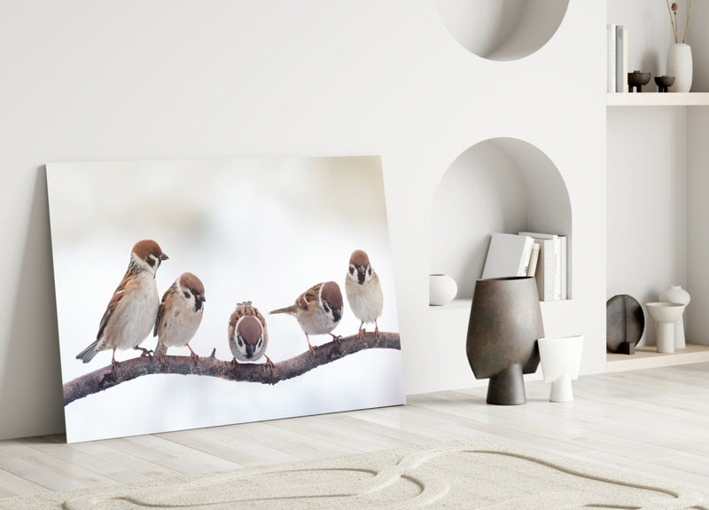 Birds Glass Wall Art