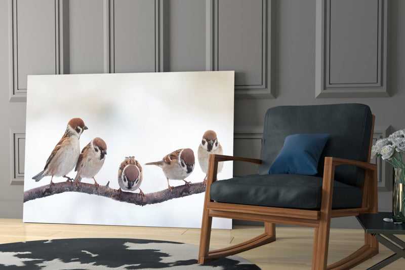 Birds Glass Wall Art