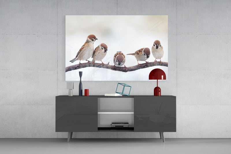 Birds Glass Wall Art