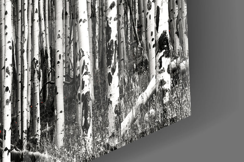 Red Forest Glass Wall Art