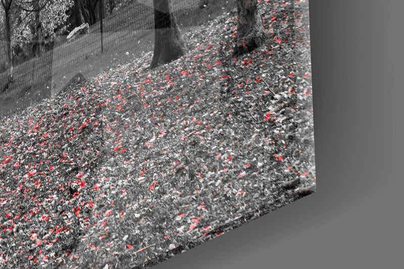 Red Tree Glass Wall Art