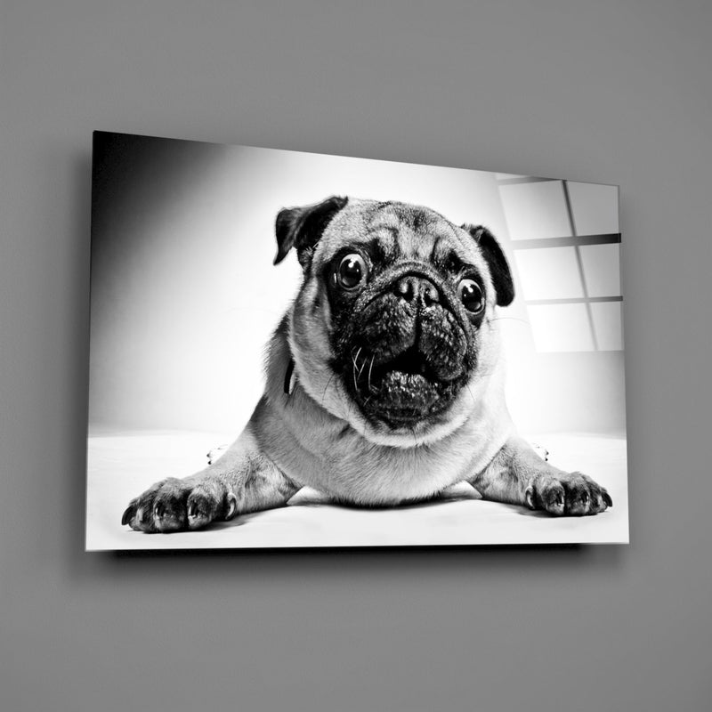 Pug Glass Wall Art