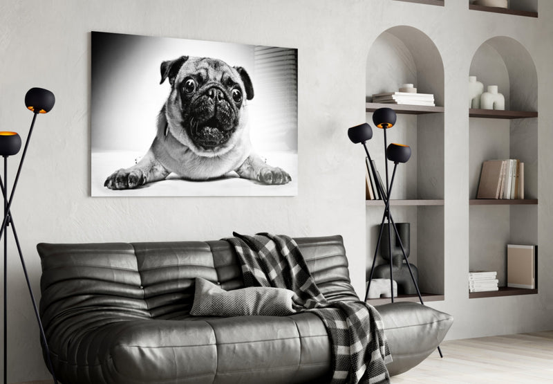 Pug Glass Wall Art