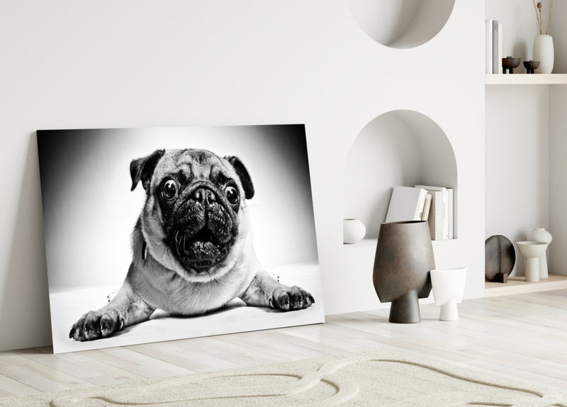 Pug Glass Wall Art