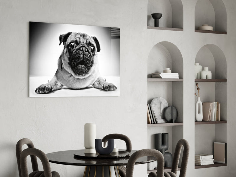 Pug Glass Wall Art
