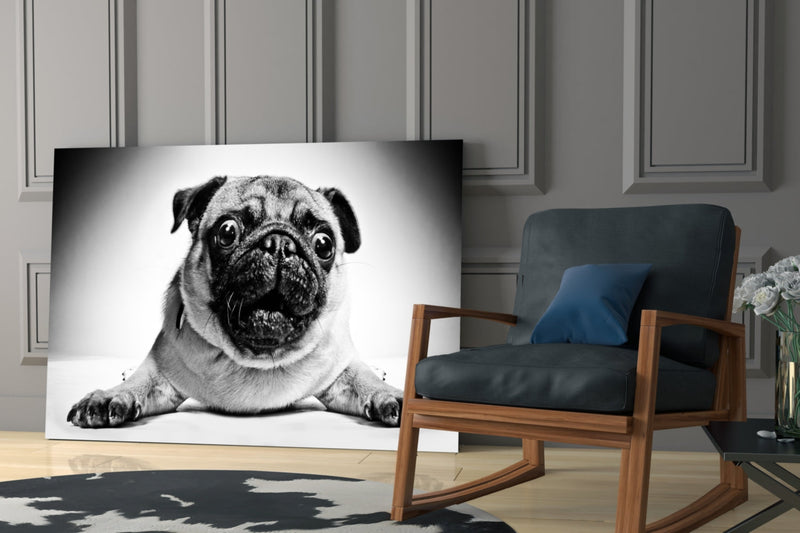 Pug Glass Wall Art