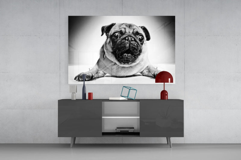 Pug Glass Wall Art