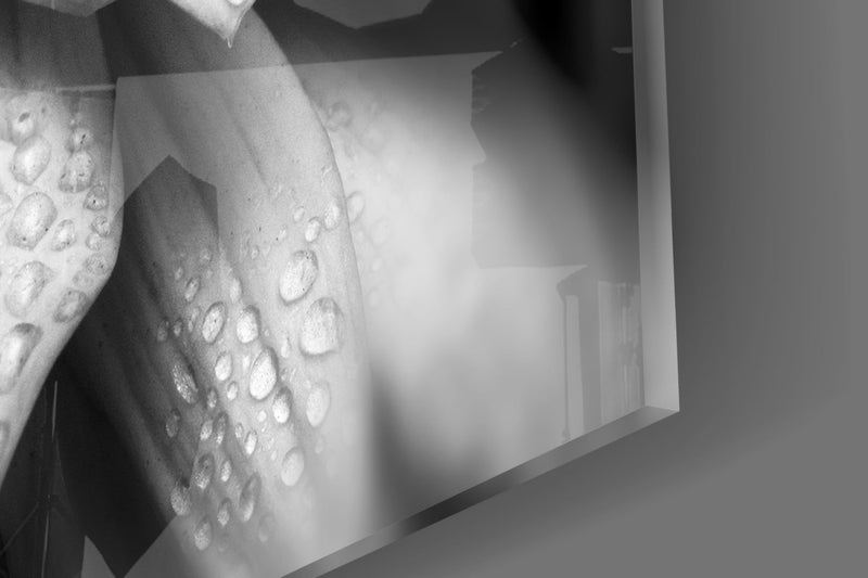 Flower Glass Wall Art