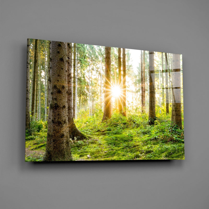 Forest Glass Wall Art