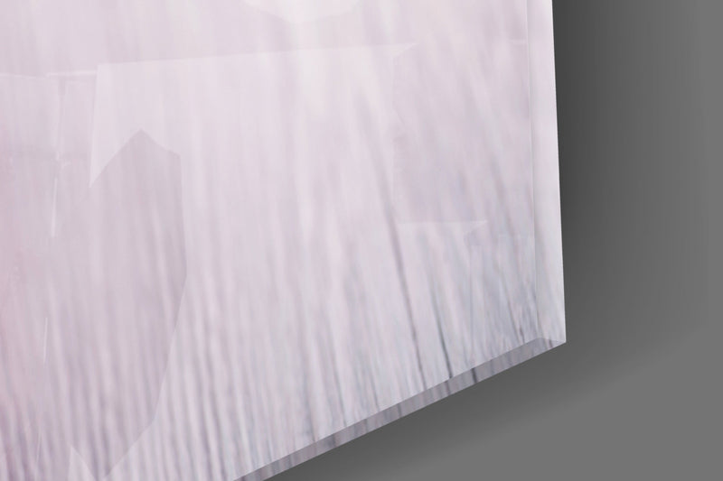 Balls of Rope Glass Wall Art