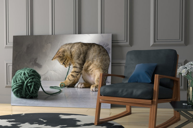 Cat Glass Wall Art