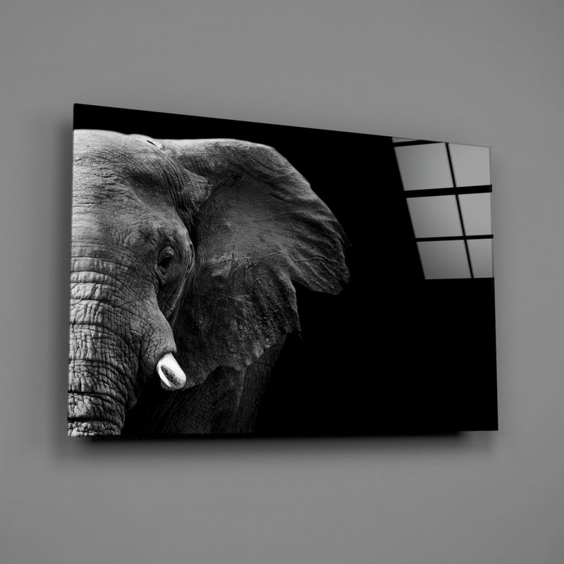 Elephant Glass Wall Art