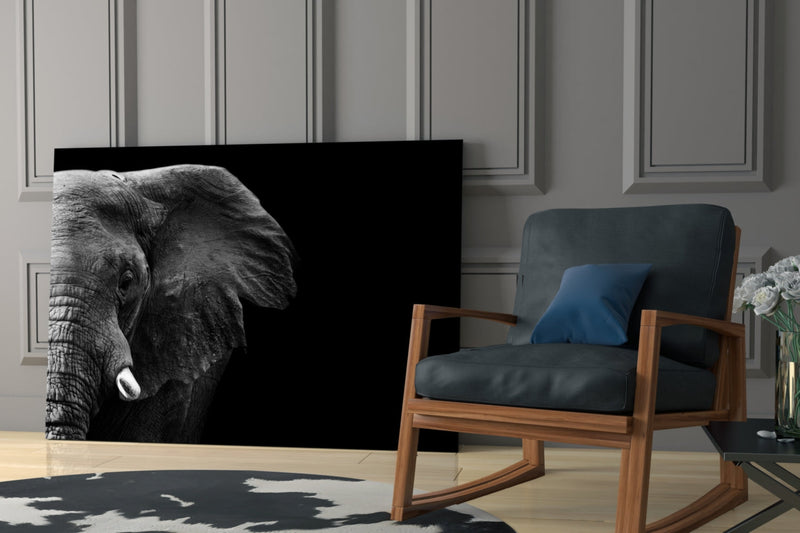 Elephant Glass Wall Art