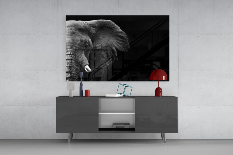 Elephant Glass Wall Art