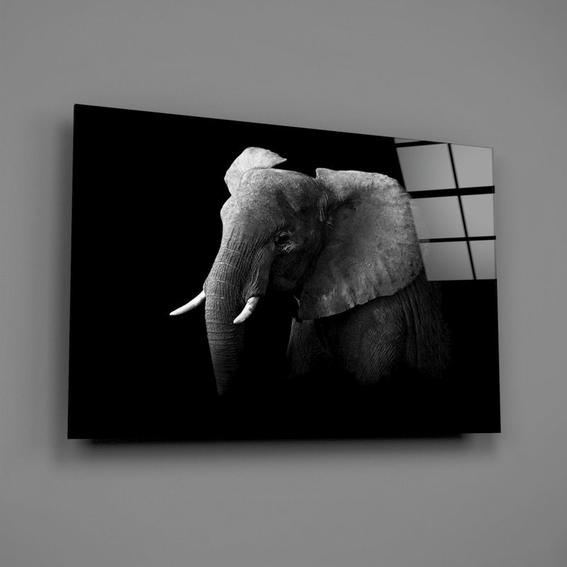 Elephant Glass Wall Art
