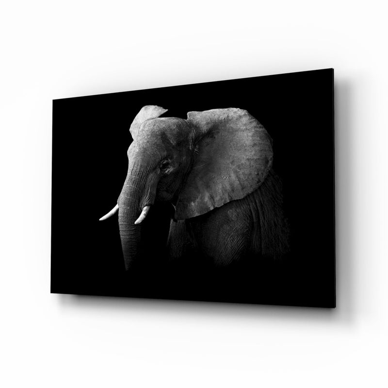 Elephant Glass Wall Art
