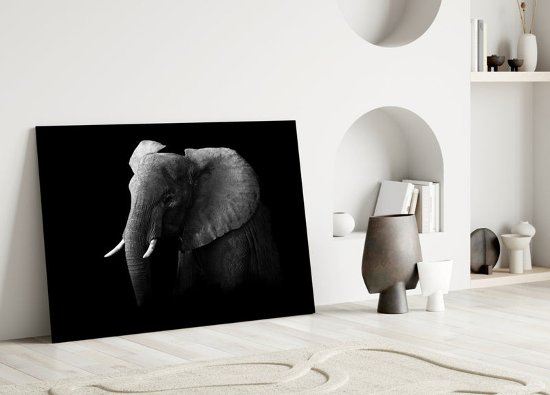 Elephant Glass Wall Art