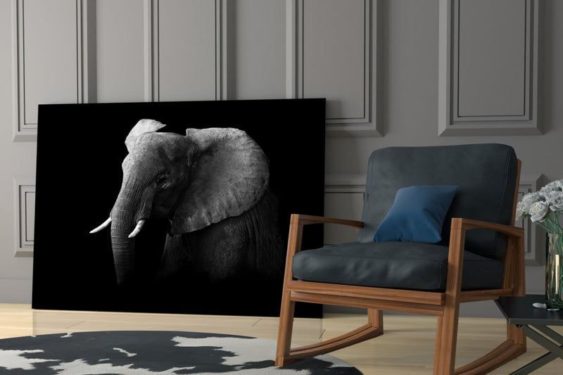Elephant Glass Wall Art