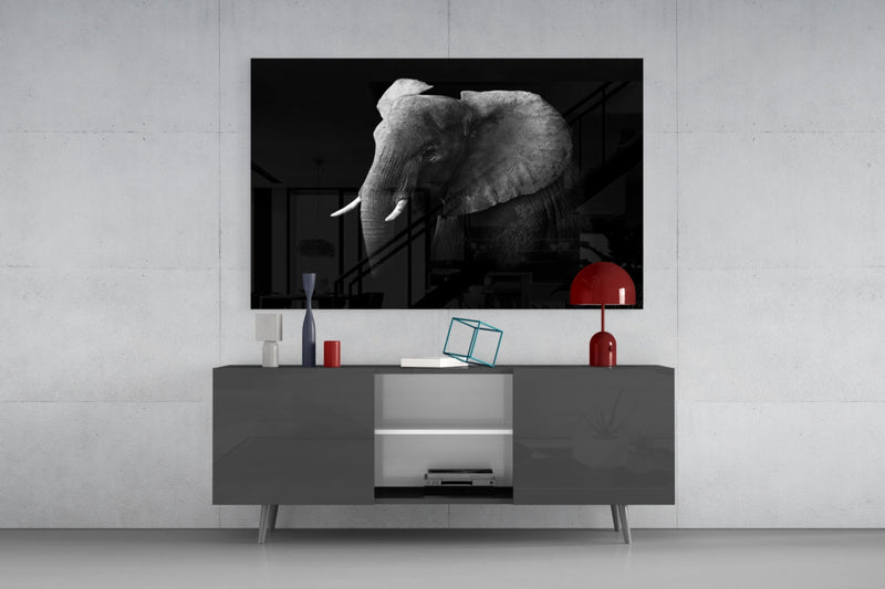 Elephant Glass Wall Art