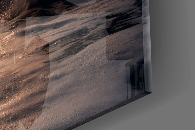 Dolphin Glass Wall Art