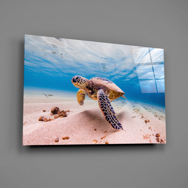 Sea Turtle Glass Wall Art