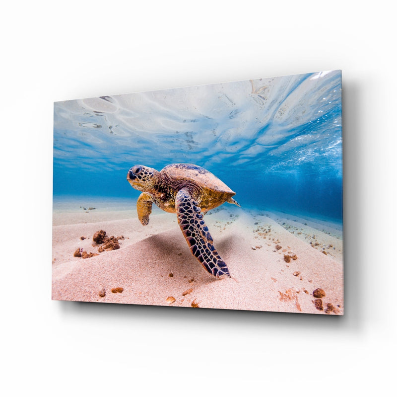 Sea Turtle Glass Wall Art