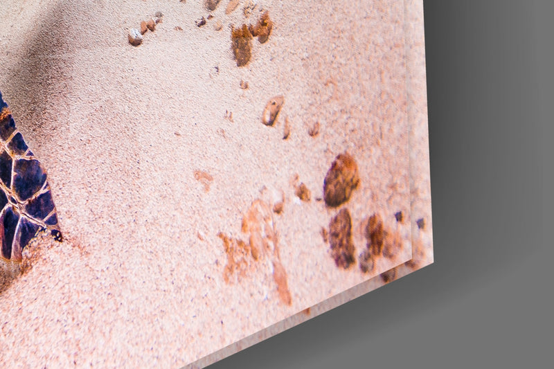 Sea Turtle Glass Wall Art