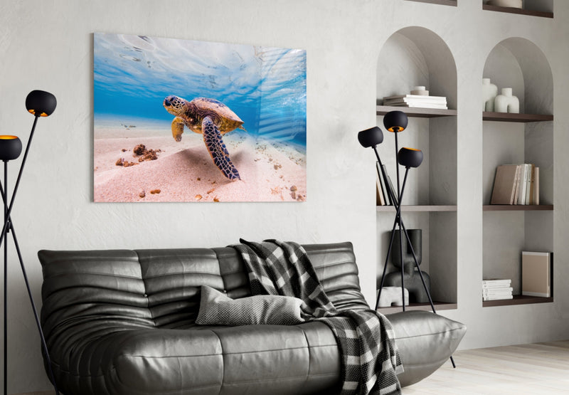 Sea Turtle Glass Wall Art