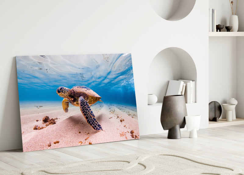 Sea Turtle Glass Wall Art
