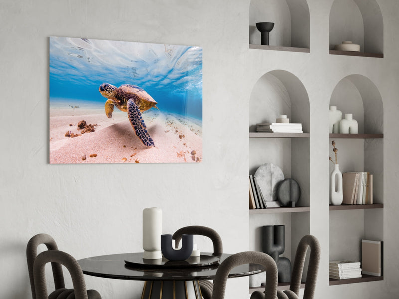 Sea Turtle Glass Wall Art