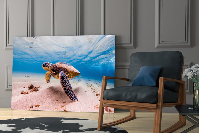 Sea Turtle Glass Wall Art
