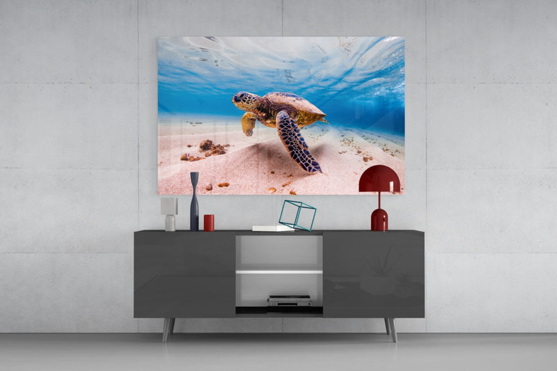 Sea Turtle Glass Wall Art