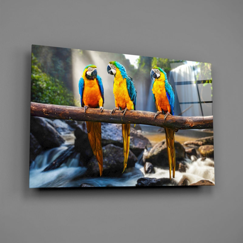 Parrots Glass Wall Art