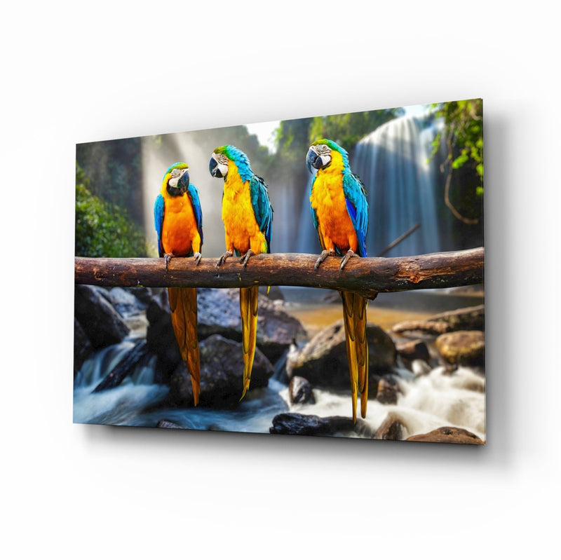 Parrots Glass Wall Art