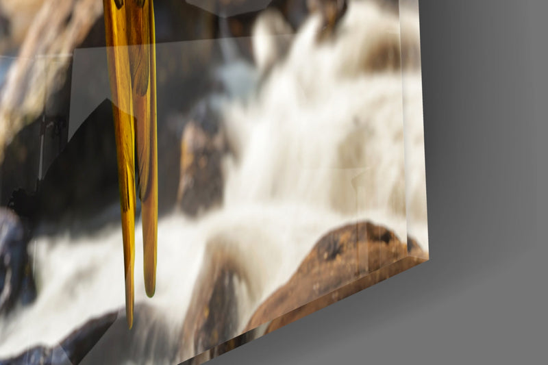 Parrots Glass Wall Art