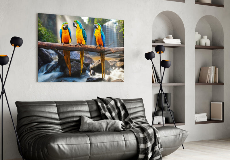 Parrots Glass Wall Art