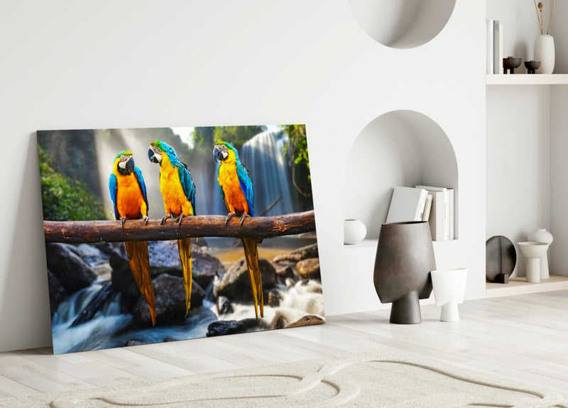 Parrots Glass Wall Art