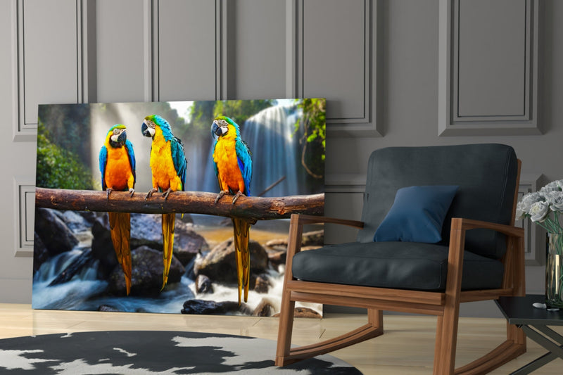 Parrots Glass Wall Art
